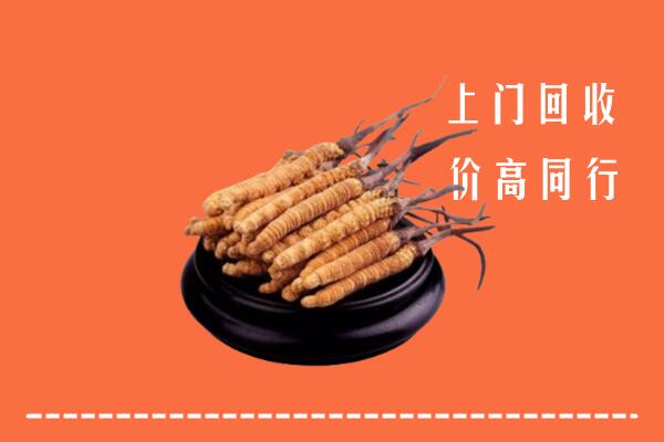 高价求购：疏附县回收散虫草