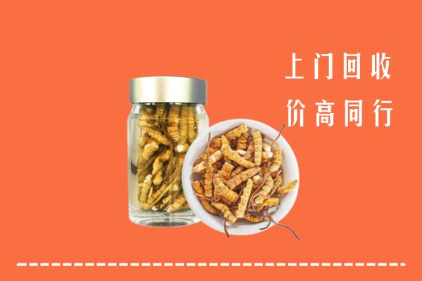 疏附县高价回收冬虫夏草