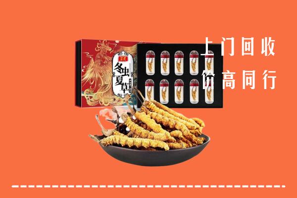 疏附县回收虫草